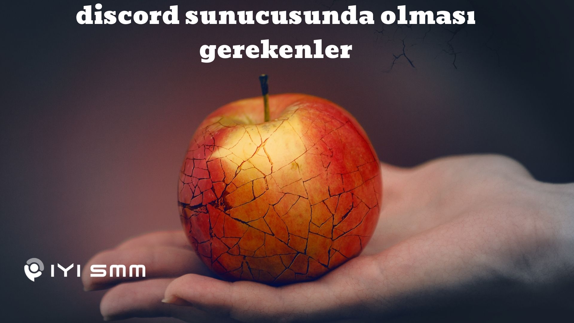 Discord Sunucusunda Olması Gerekenler