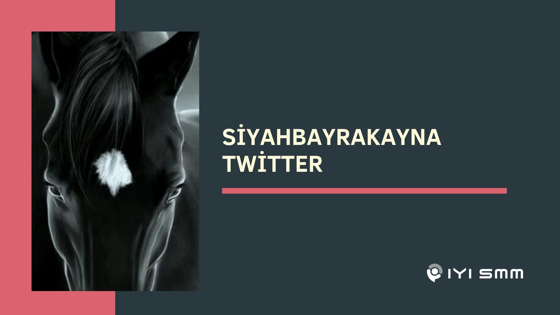 Siyahbayrakayna Twitter